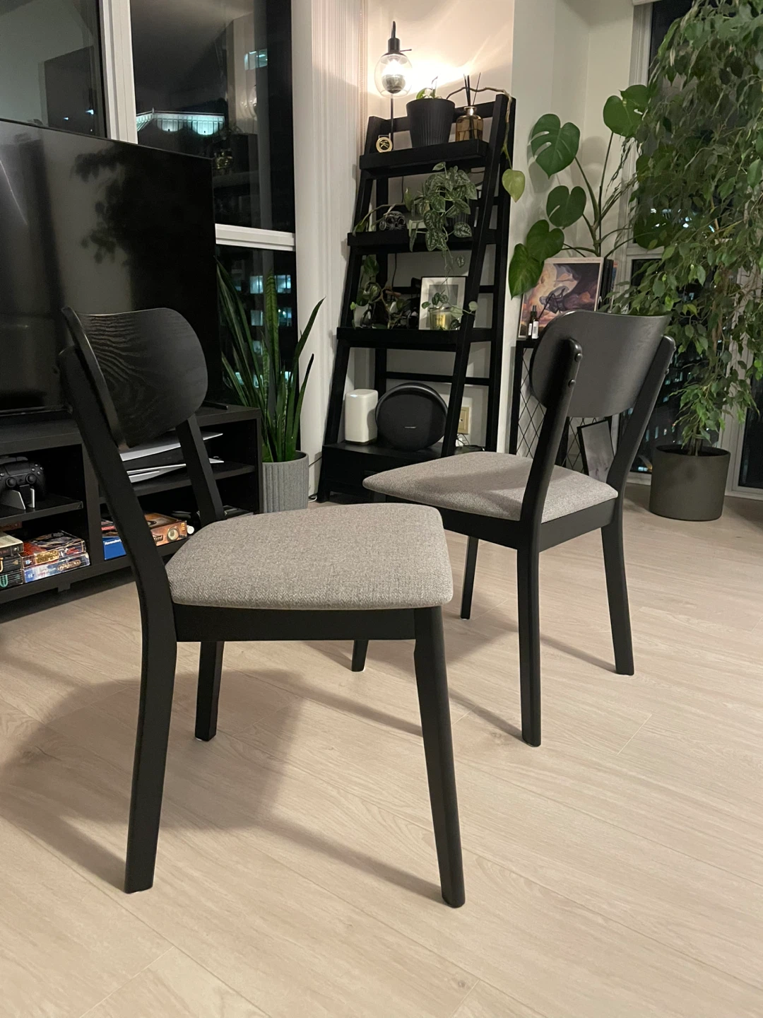 Modern Dining Chairs - Set of 2