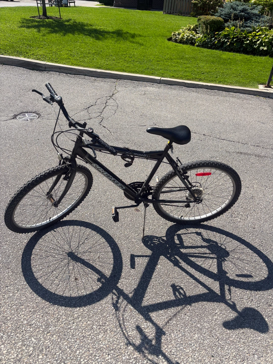 Bicycle for adults