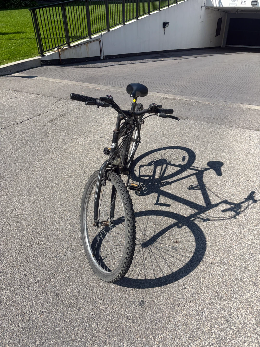 Bicycle for adults - photo 2