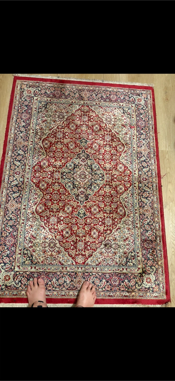 Persian Style Area Rug