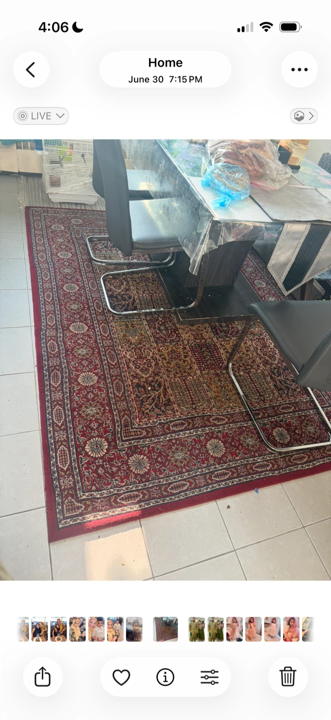Persian Style Area Rug - photo 2