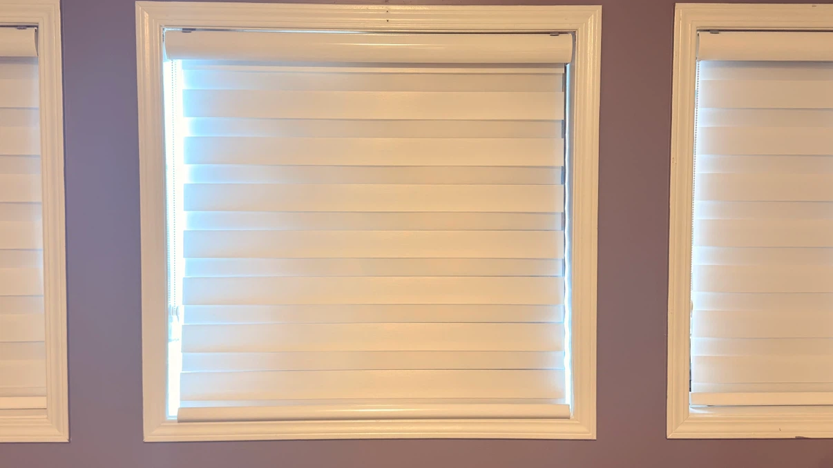 White Zebra Roller Blinds - photo 2