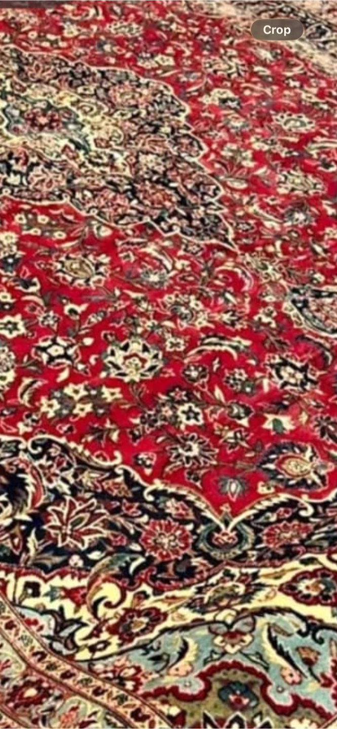 Persian Style Area Rug