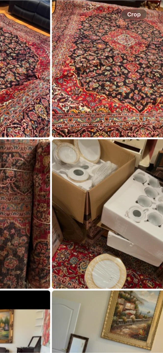 Persian Style Area Rug - photo 5
