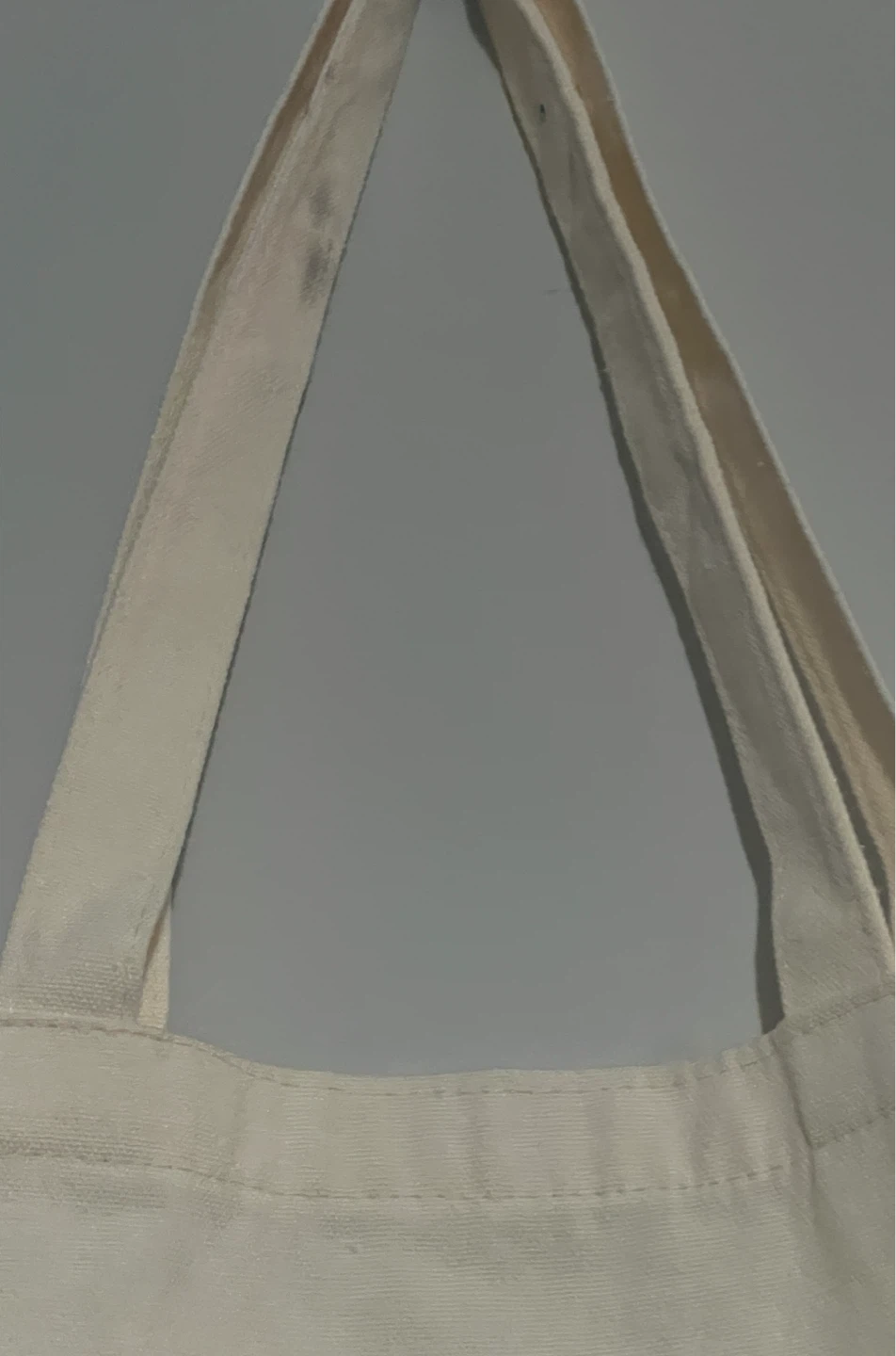 Canvas Tote Bag with Bee Design - photo 5