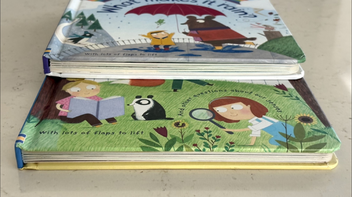 Usborne First Questions and Answers Lift-the-Flap Books (2) - photo 4