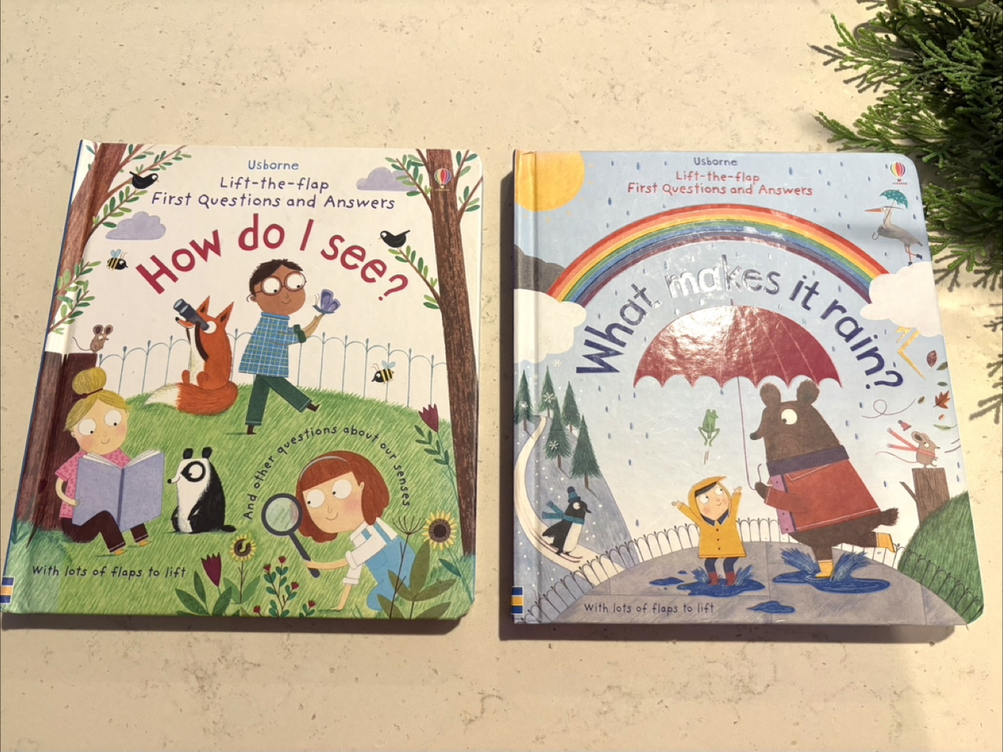 Usborne First Questions and Answers Lift-the-Flap Books (2)
