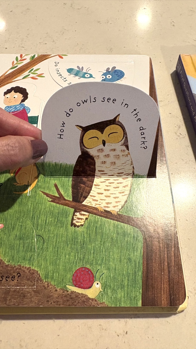 Usborne First Questions and Answers Lift-the-Flap Books (2) - photo 2