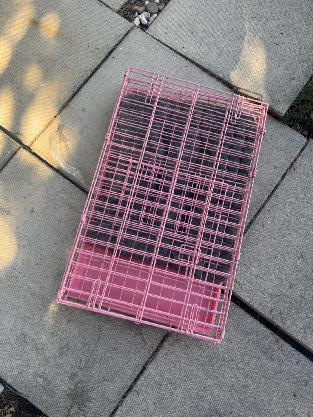 Pink Pet Crate with Cushion - photo 3