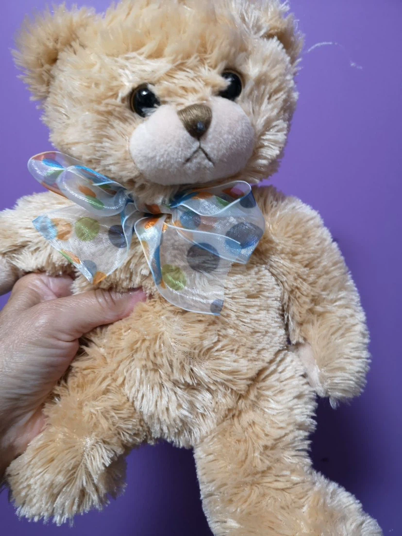 Ty Beanie Baby Teddy Bear