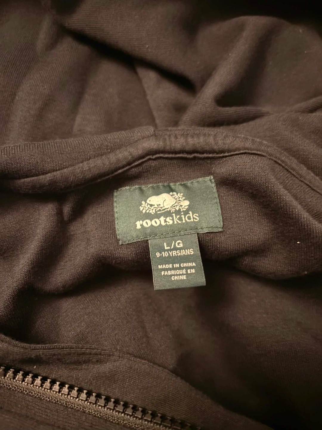 Roots Athletics Zip-Up Hoodie - photo 3