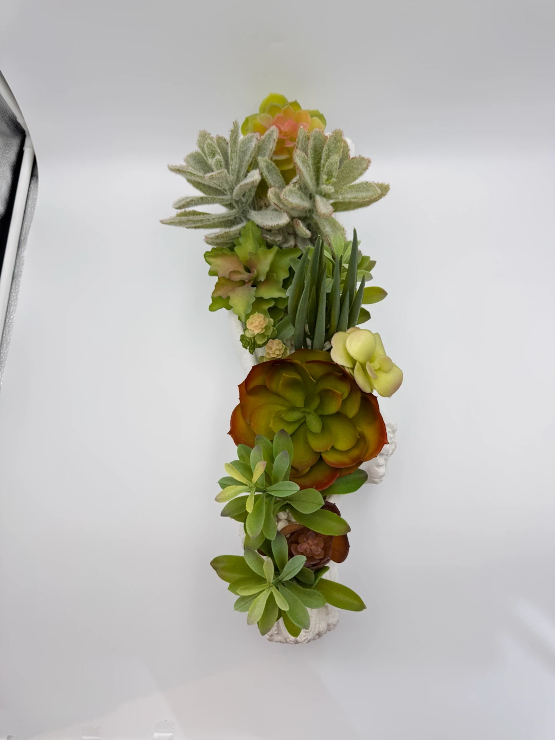 Set of 2 Artificial Succulent Planters in a White Cement Log - photo 3