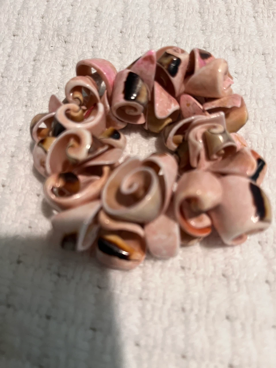 Real Shell Swirl Bracelet