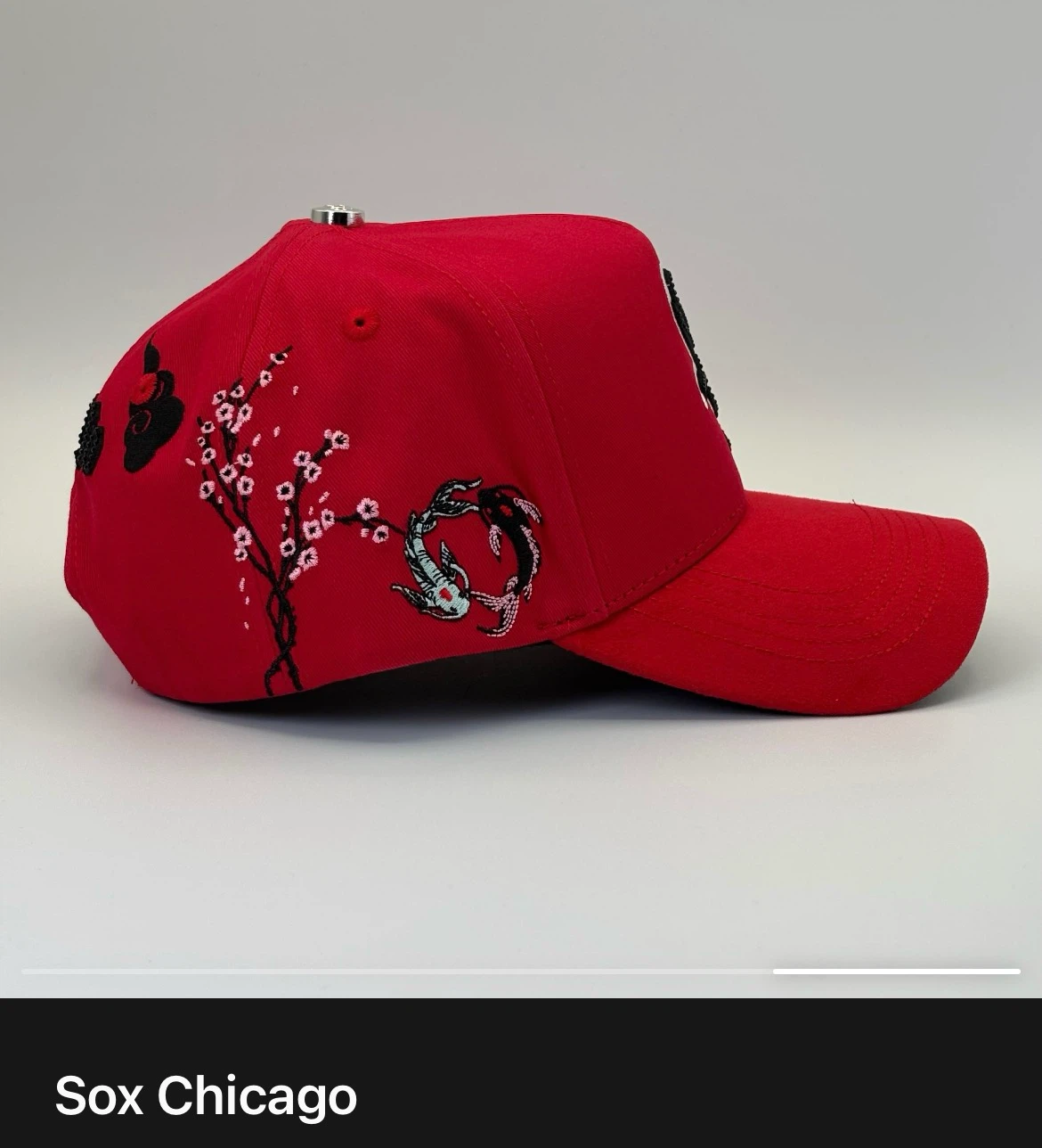 Sox Dragon 🐉🔥 - photo 3