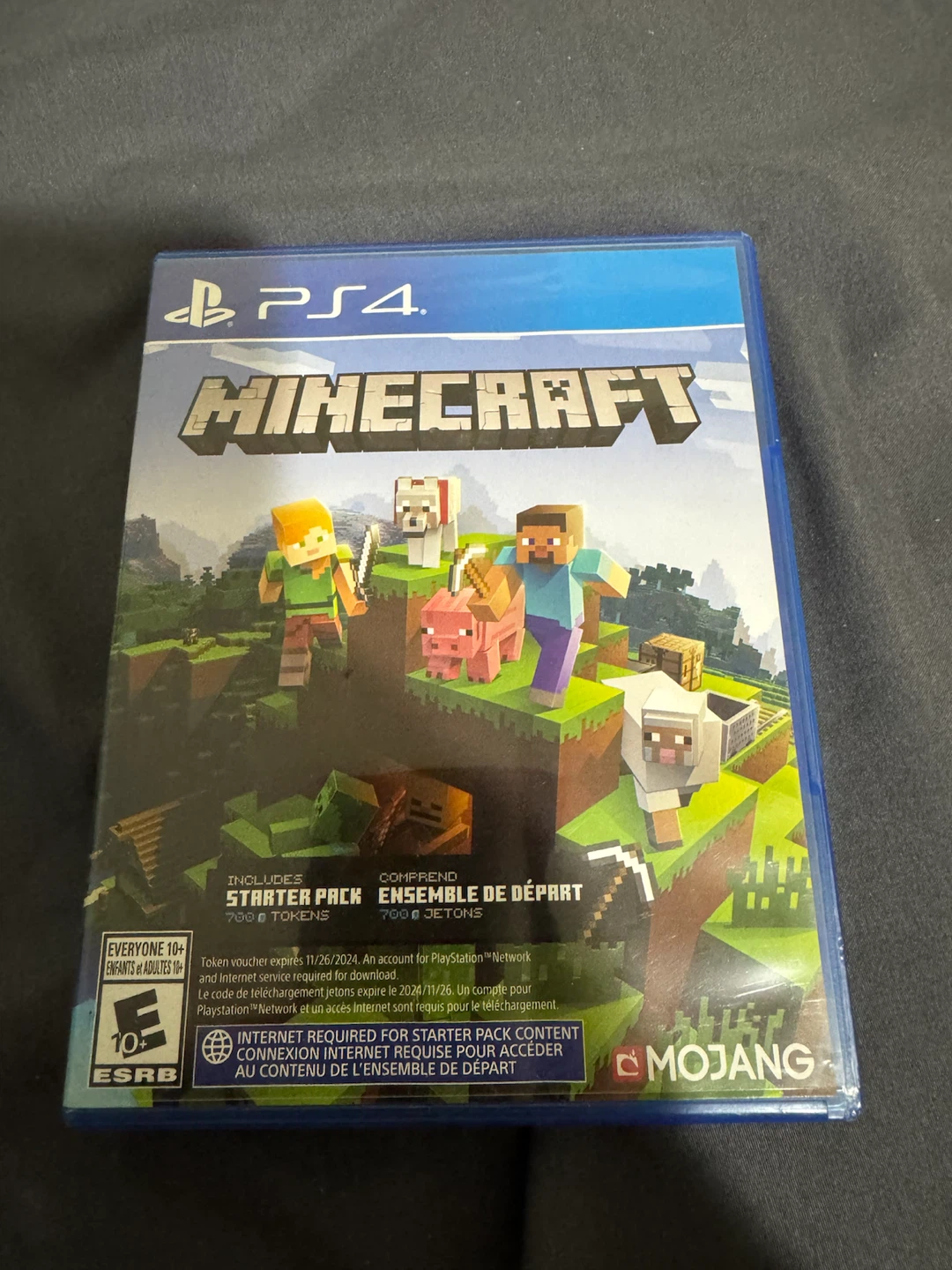 Ps4 Minecraft game