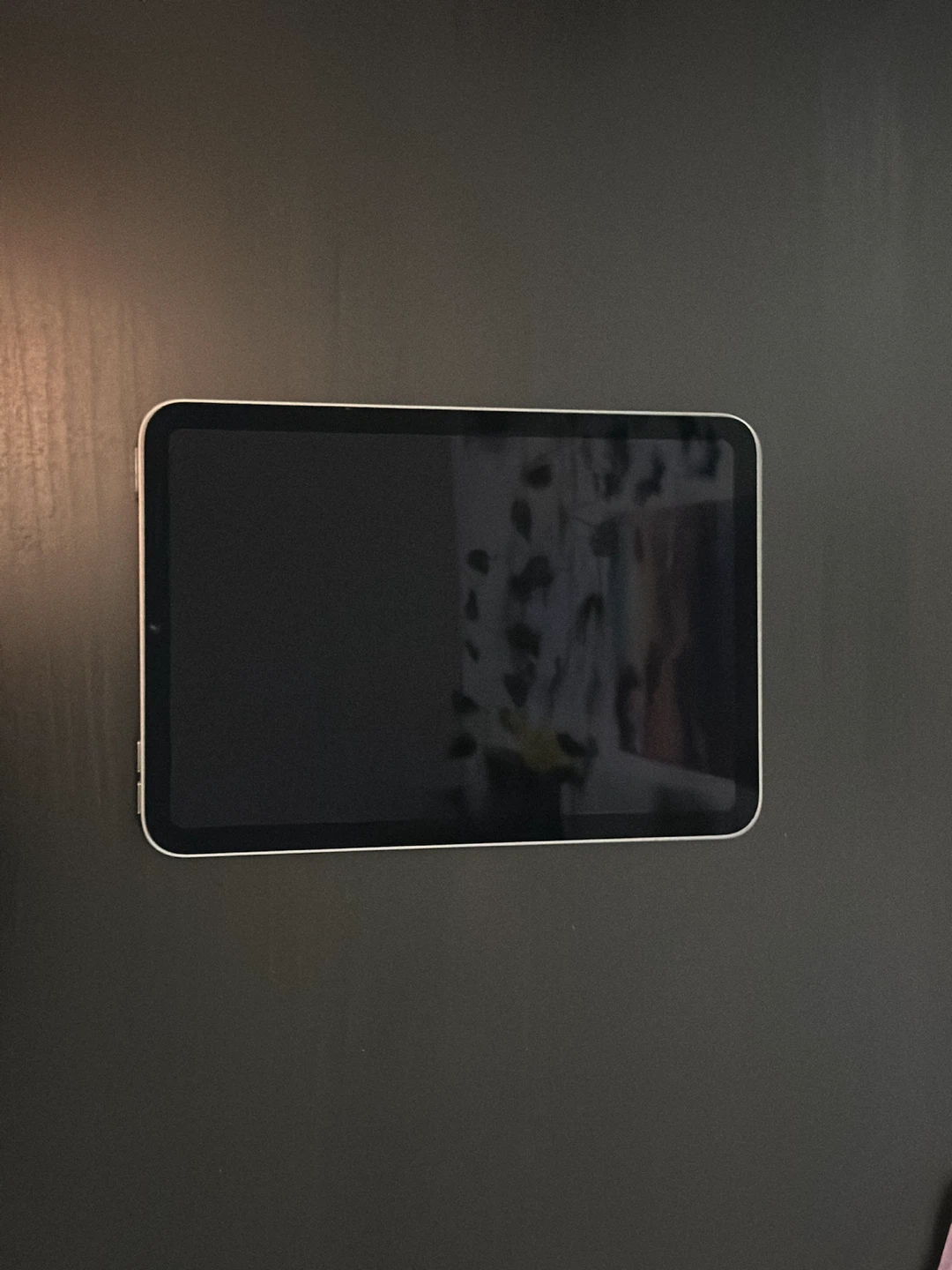 iPad Mini (A17 Pro)