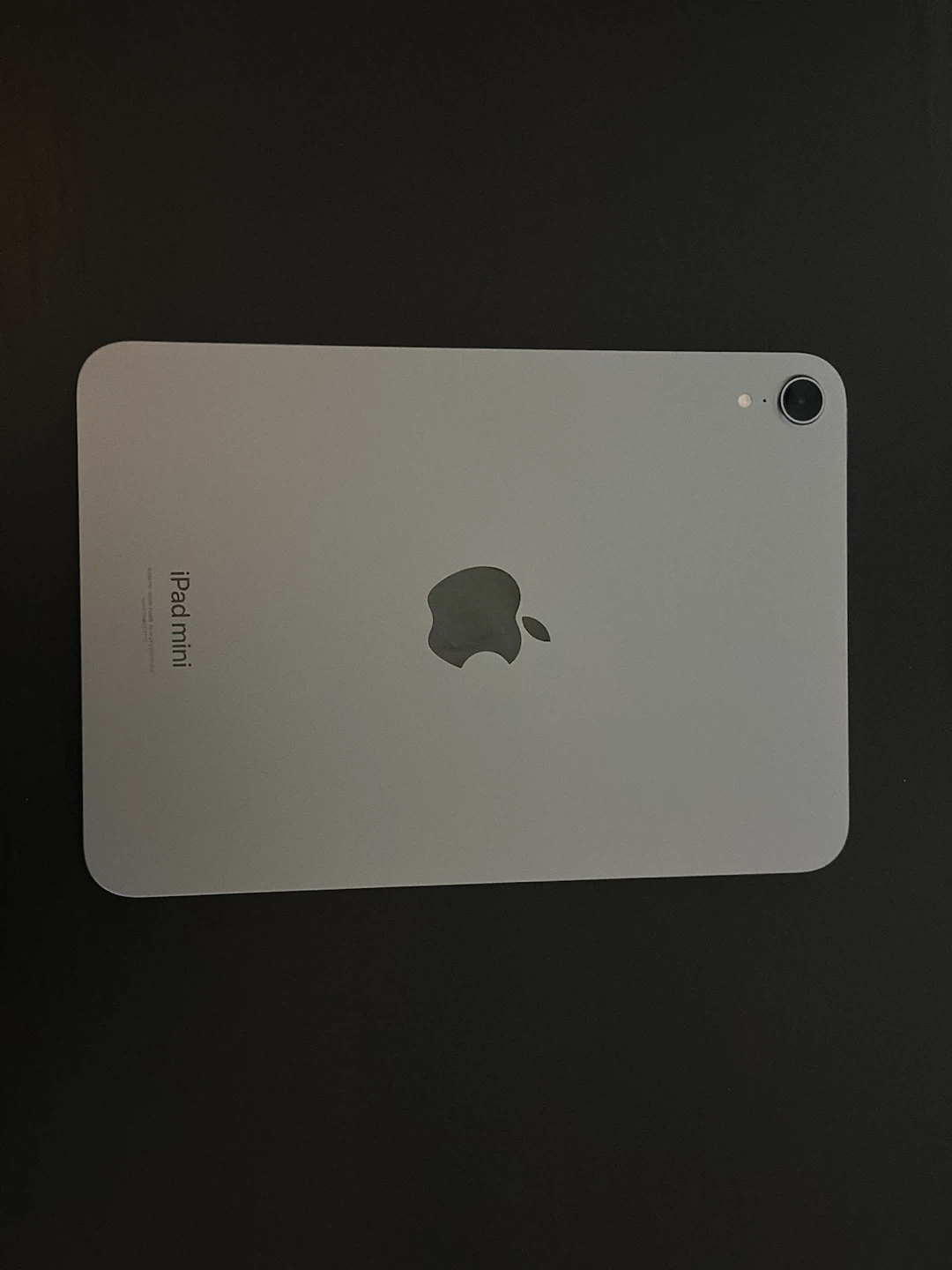iPad Mini (A17 Pro) - photo 2