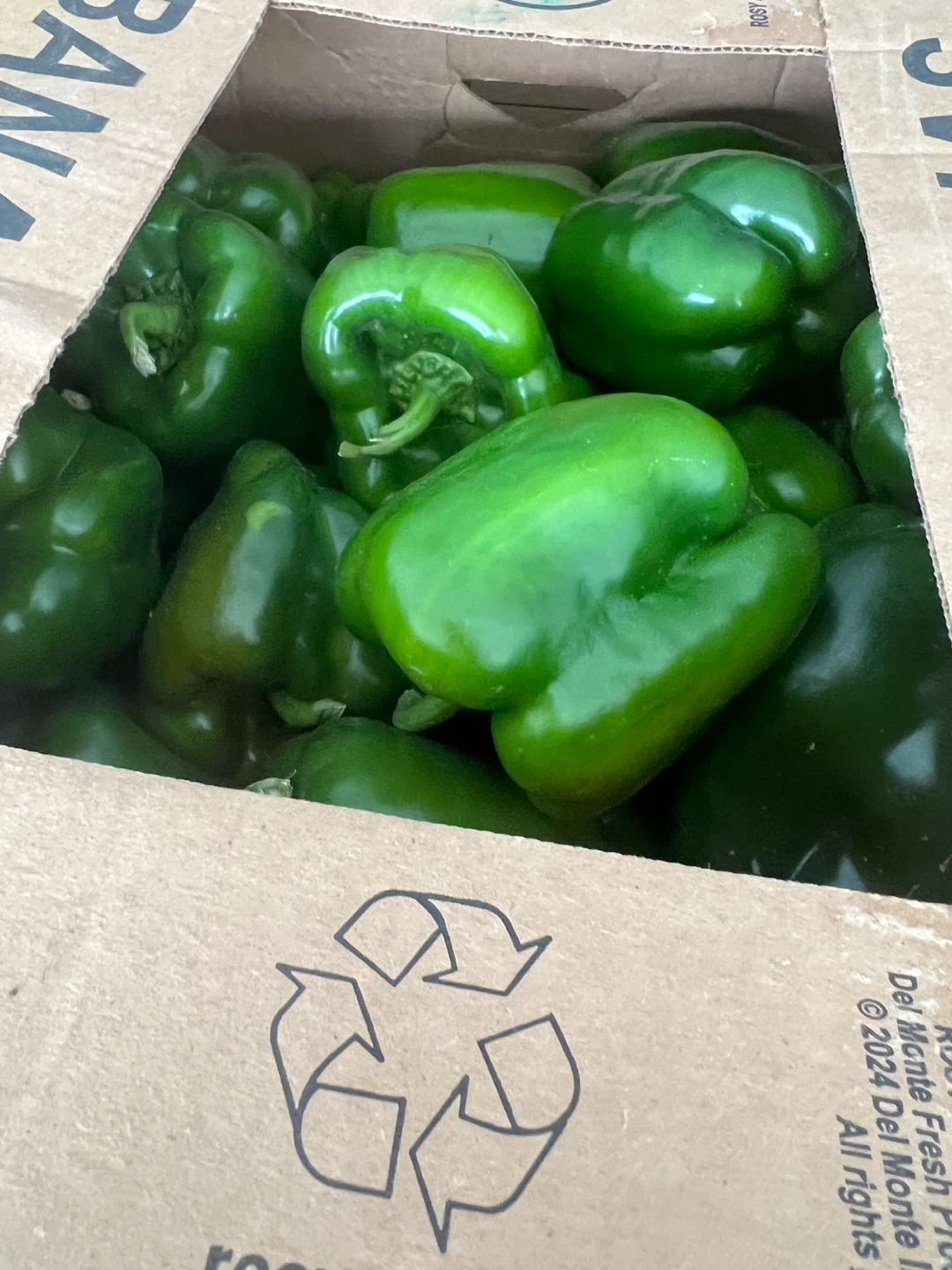 Bell Pepper
