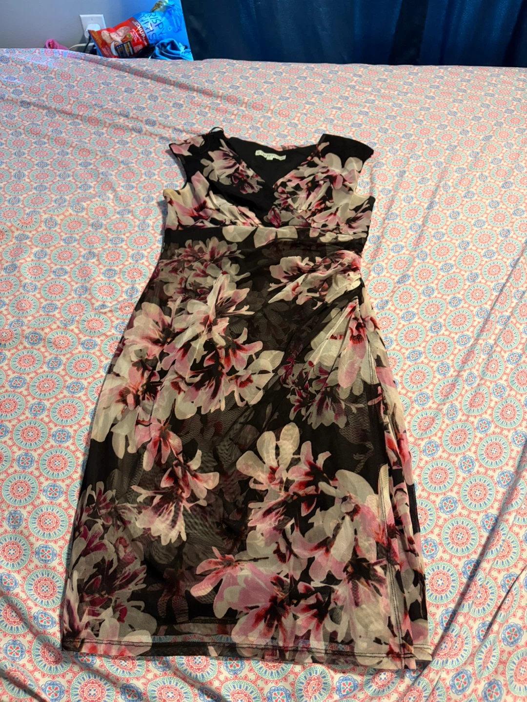 Cleo Petites Floral Mesh Dress