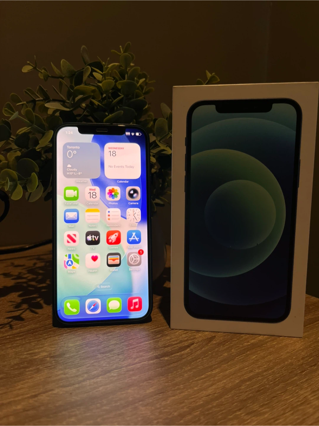 Apple iPhone 12 Blue