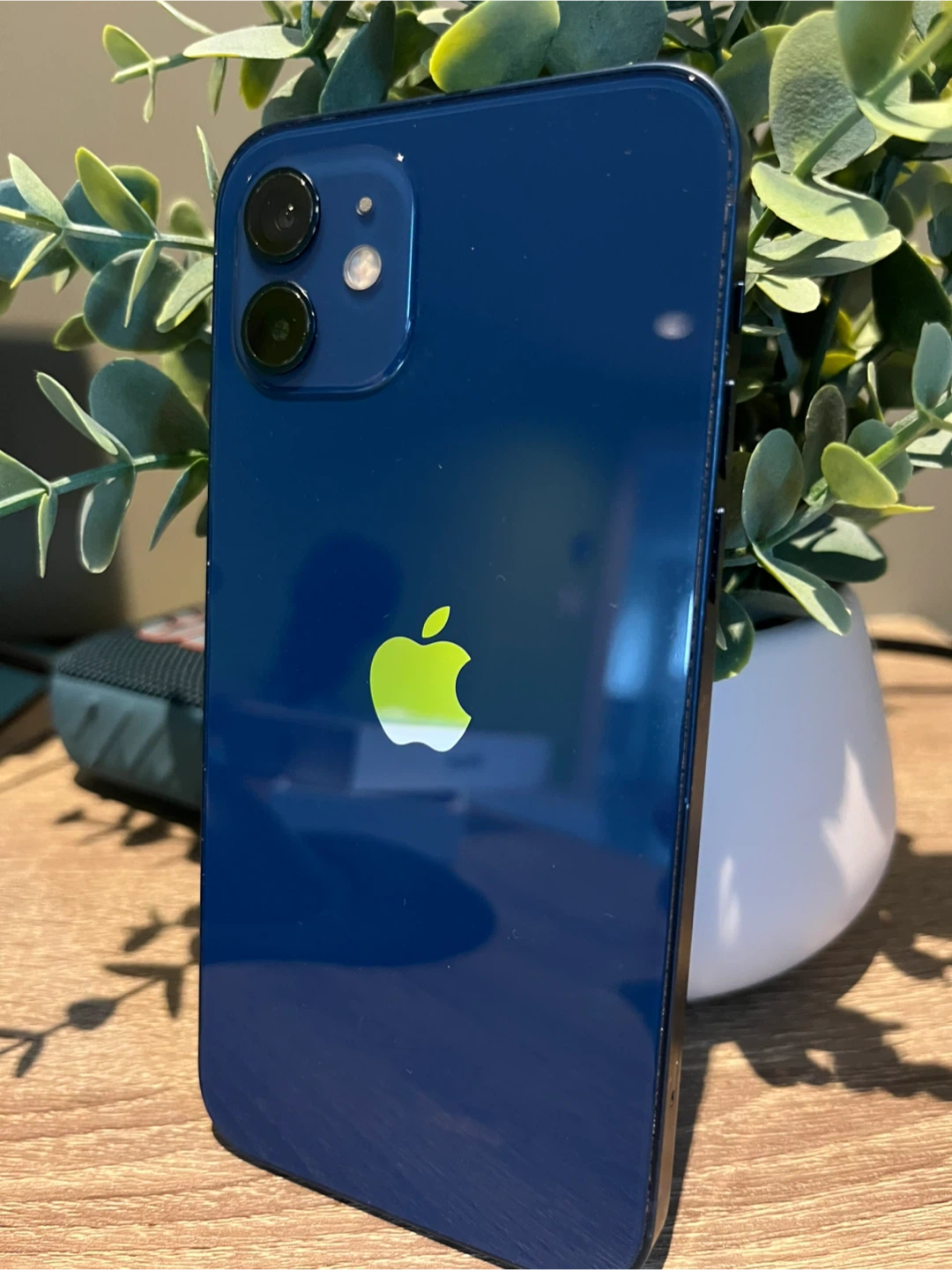 Apple iPhone 12 Blue - photo 4