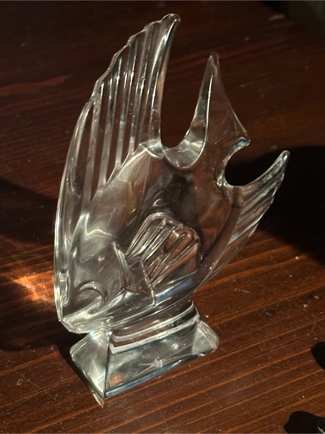 J.D Durrand Crystal tropical  Fish - photo 4
