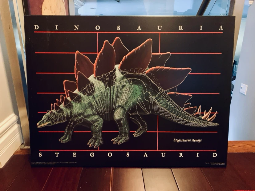 Dinosauria Stegosaurus Print