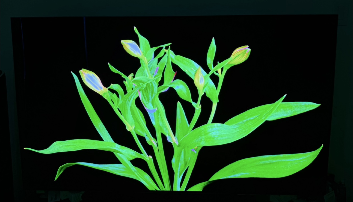Samsung Tv 65 inch OLED 4k 120hz (S95B) - photo 2
