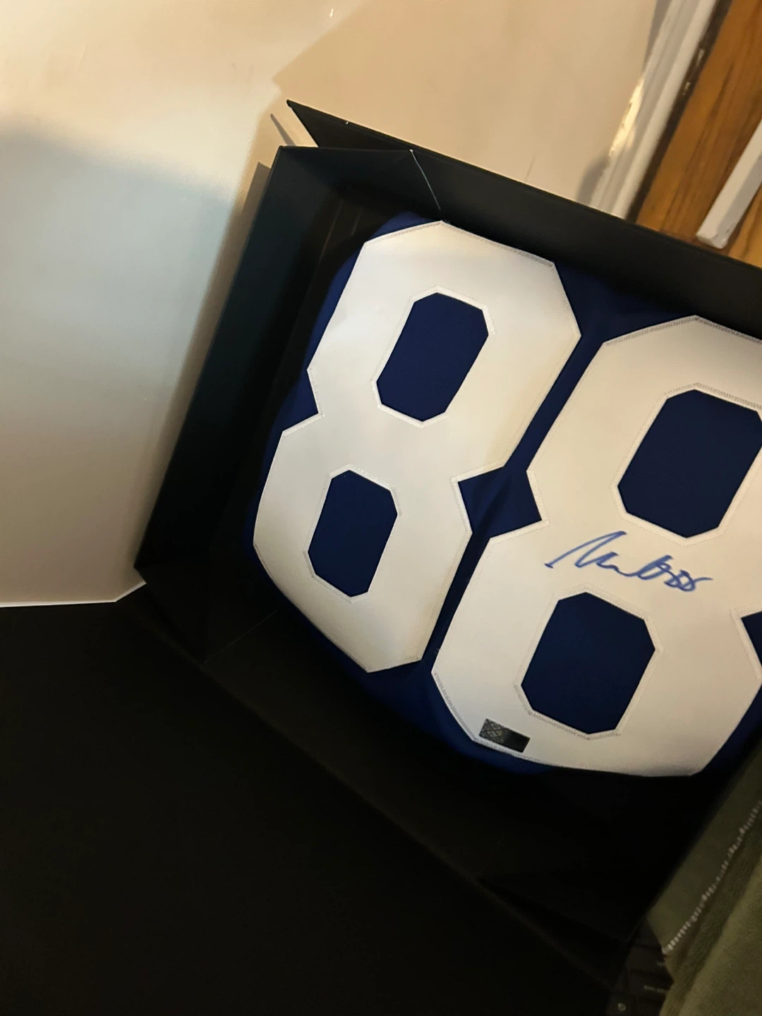 Toronto Maple Leafs Autographed Nylander  Jersey Display Box - photo 3