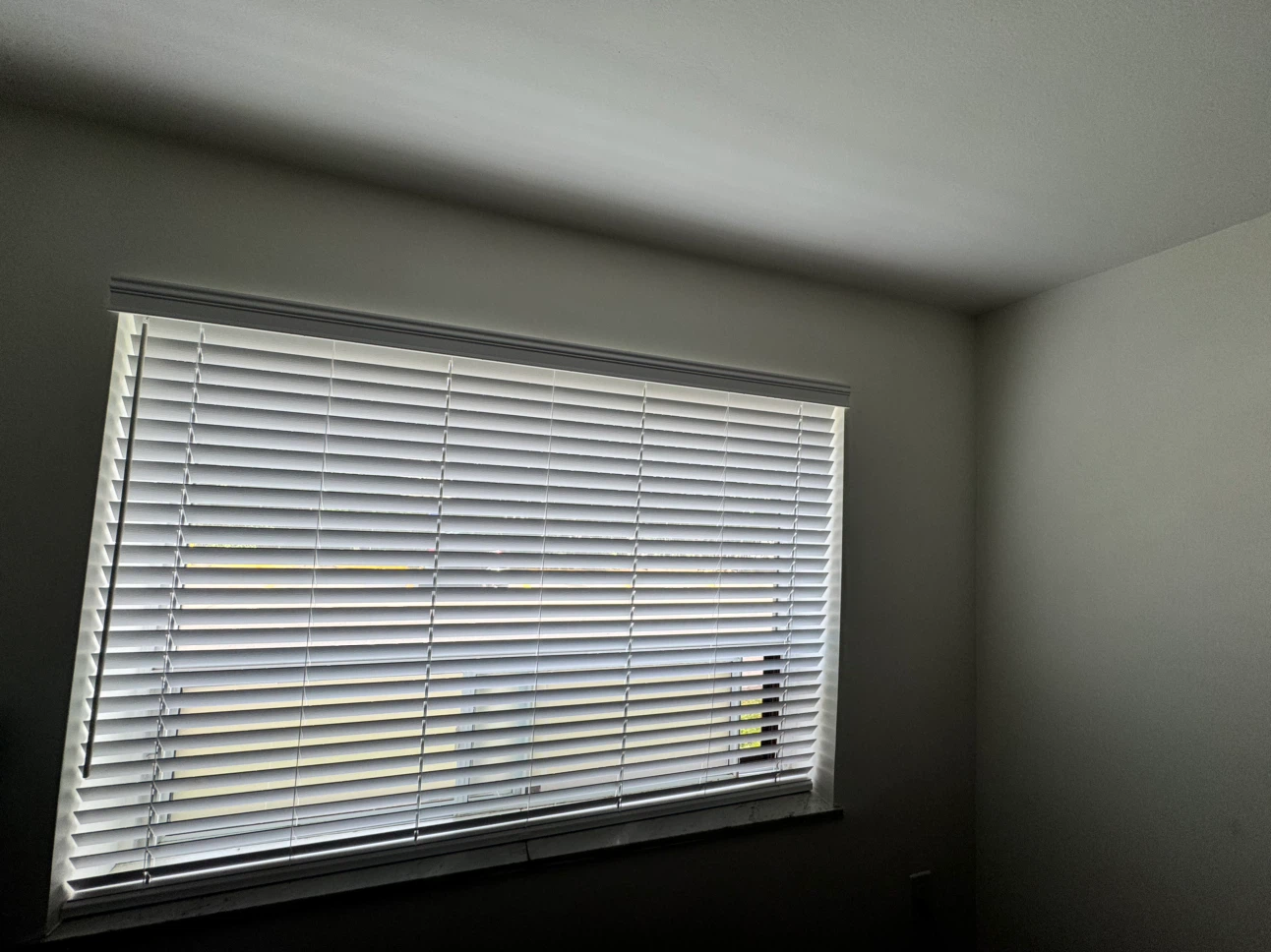 White Horizontal Blinds - photo 5