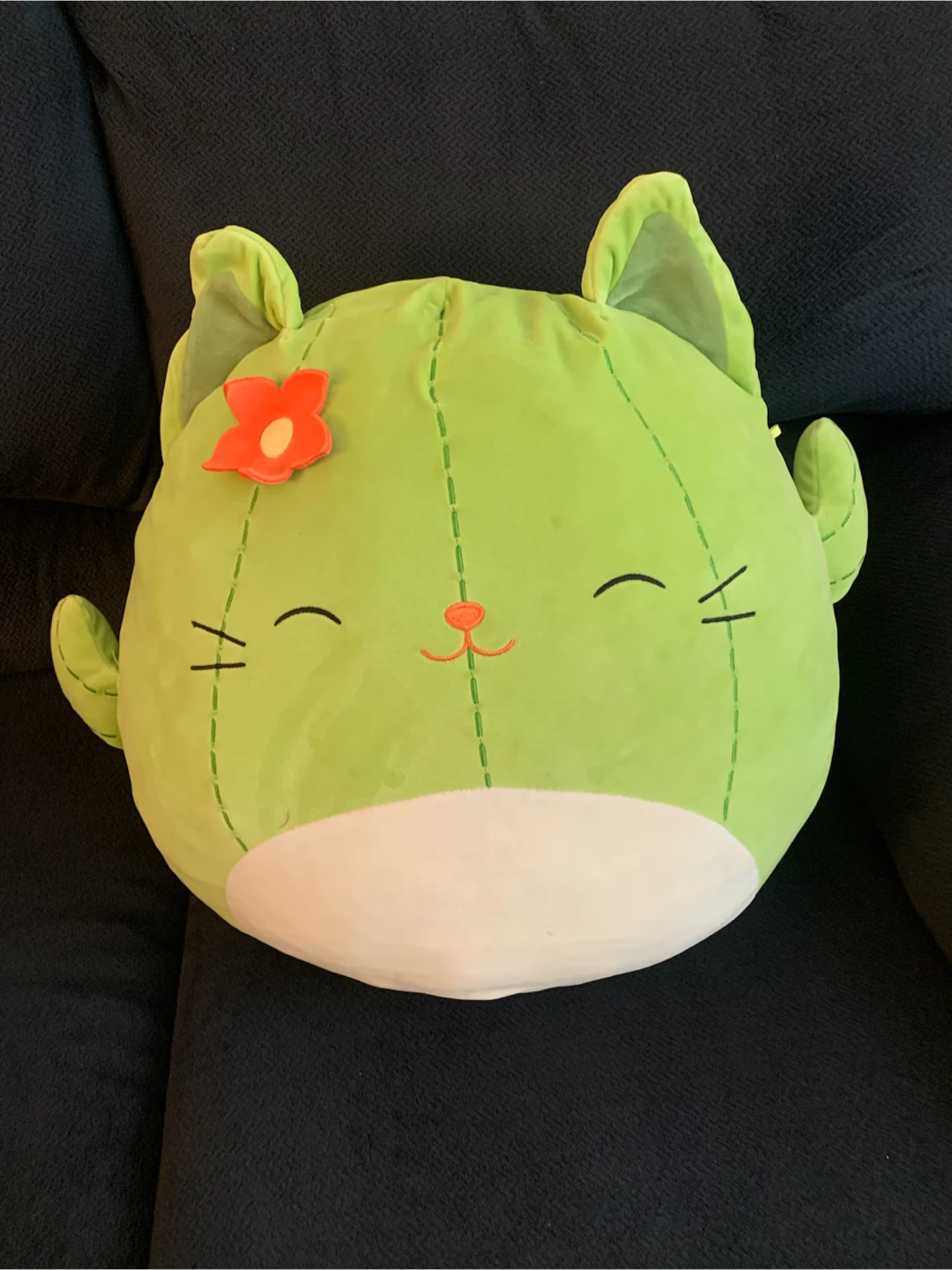 Squishmallows Cat Cactus Pillow Plush