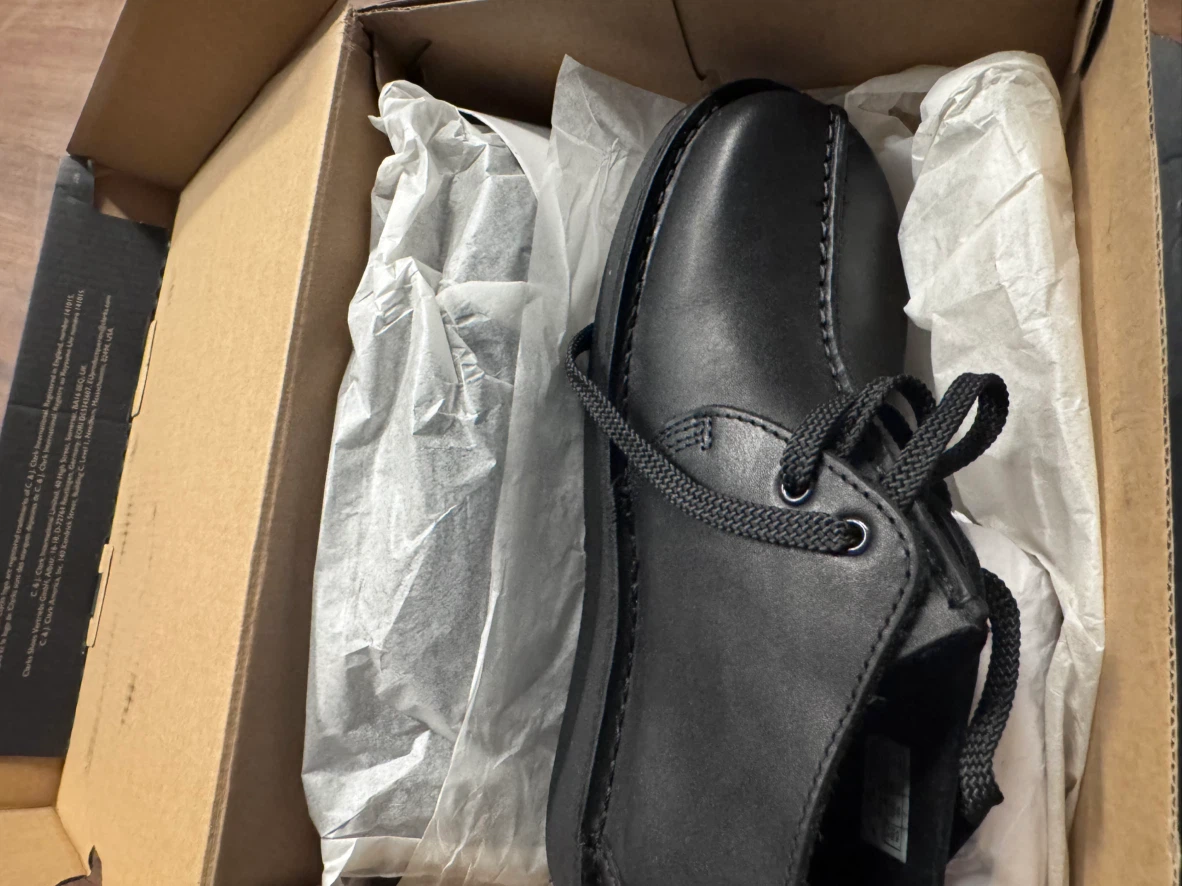Clarks Desert Trek 9 Mens Shoes