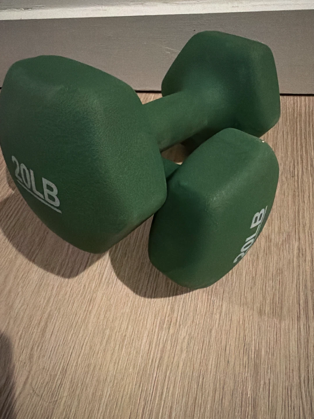 Green 20 LB Dumbbells (Pair)
