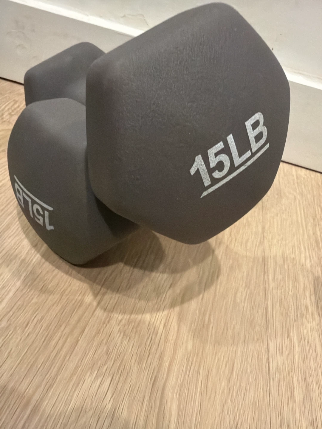 15 LB Dumbbells (Pair)