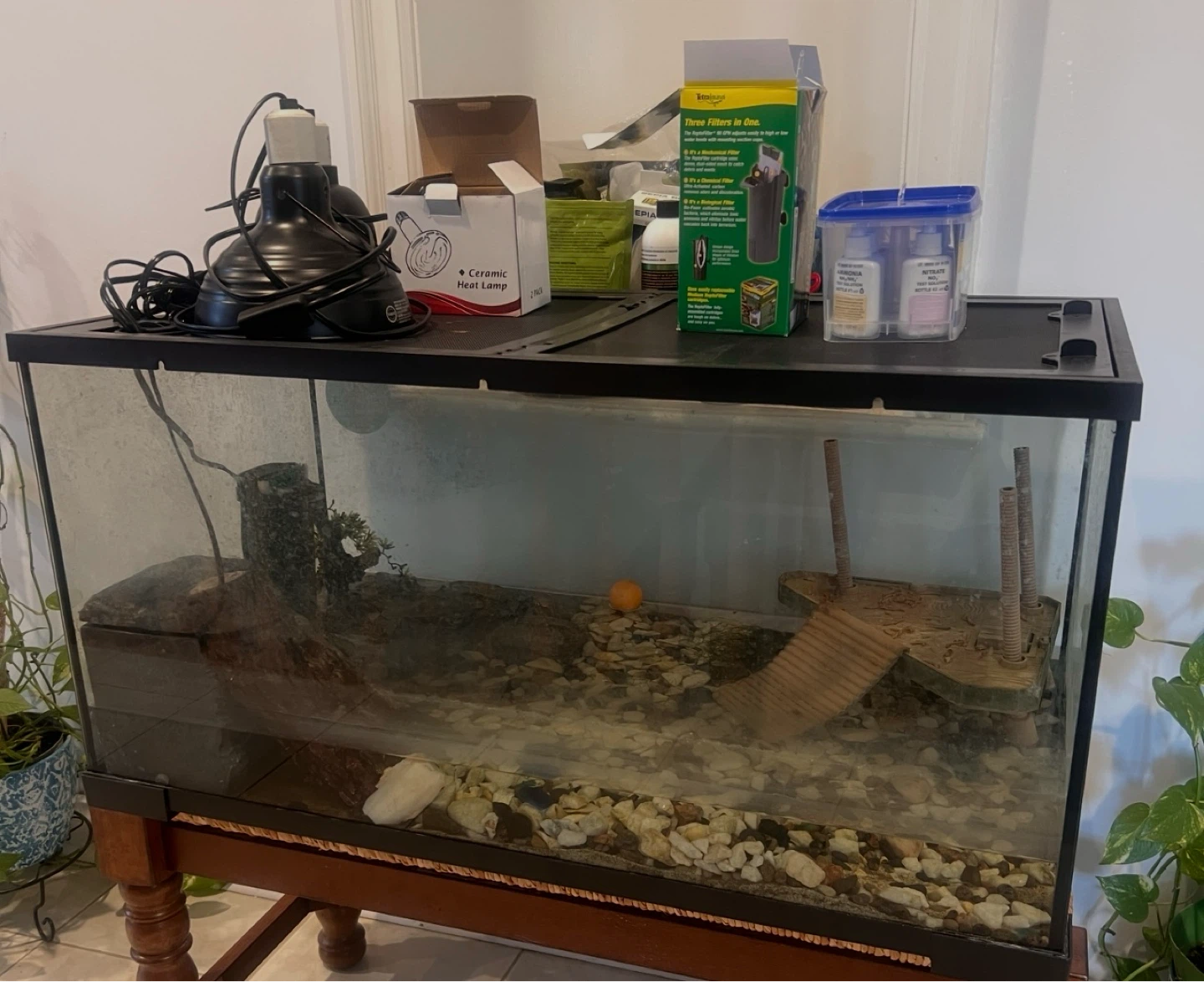 Aquarium with Accessories