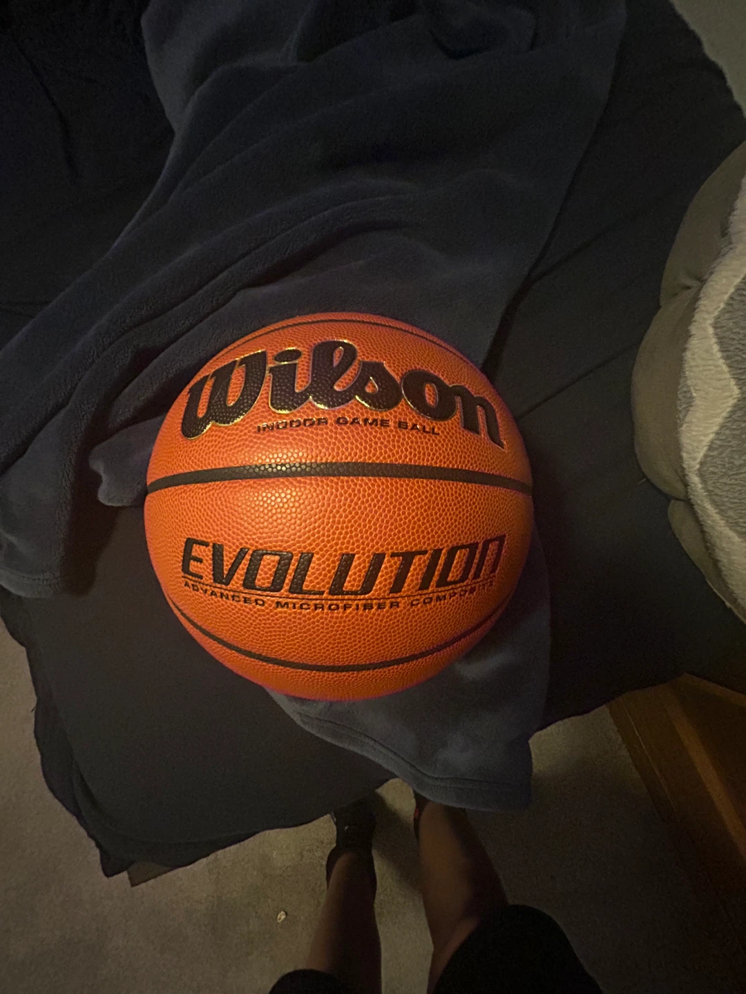 BRAND NEW Wilson Evolution Indoor Game Ball Basketball