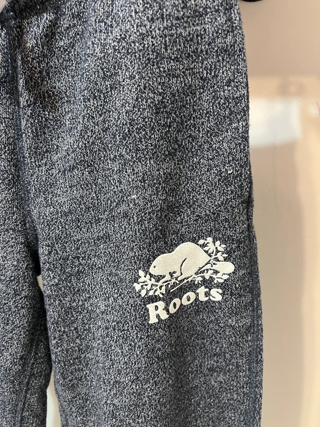 Roots Kids Matching Sweatsuit Set– Size 9–10 – Like New - photo 4