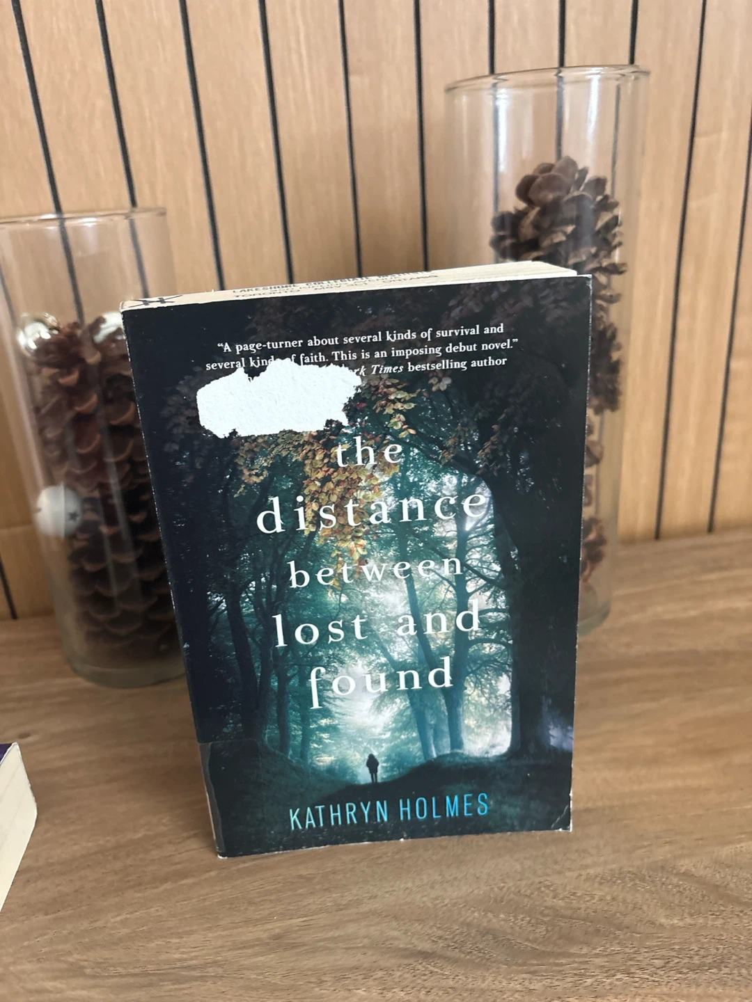 The Distance Between Lost and Found by Kathryn Holmes - Book