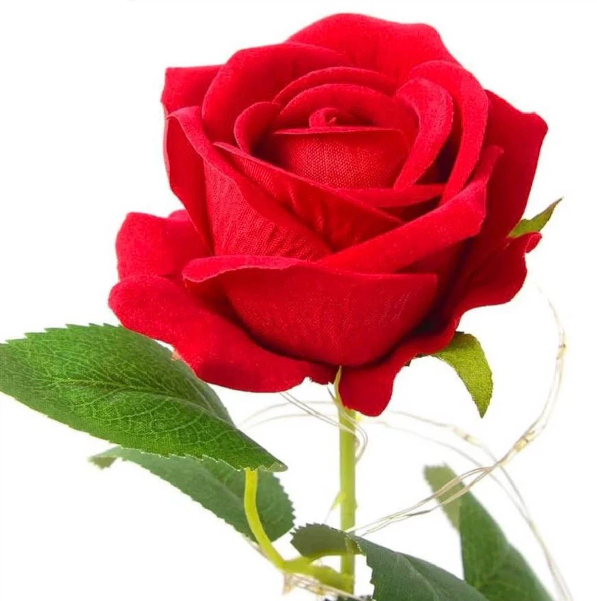 Eternal Flower Rose, Red Romantic Rose for Women,Rose in a Glass - photo 2
