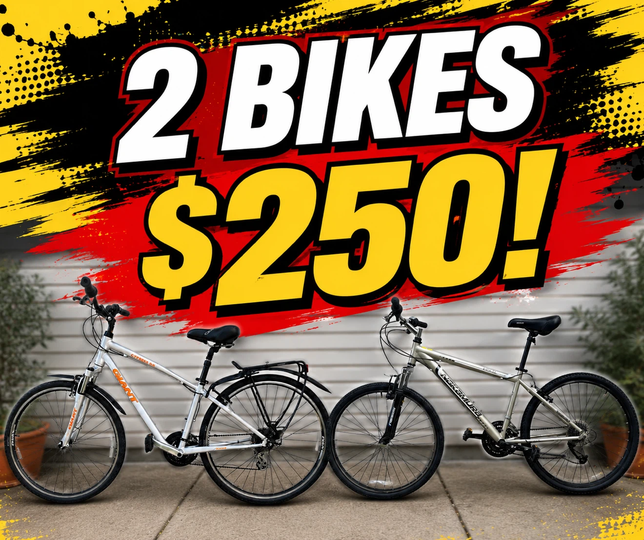 2 BIKES FOR $250!