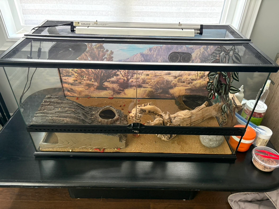 Terrarium Reptile Tank with UVB Light and Fluker's Food