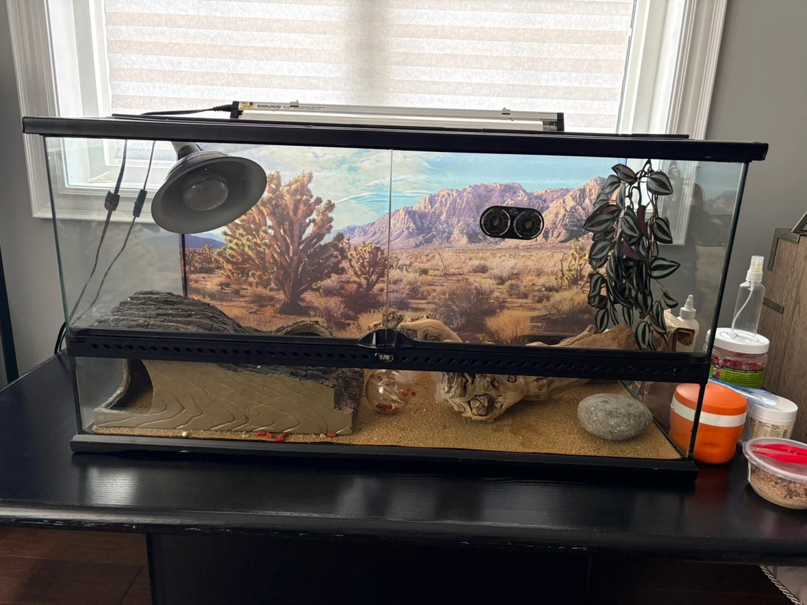 Terrarium Reptile Tank with UVB Light and Fluker's Food - photo 2