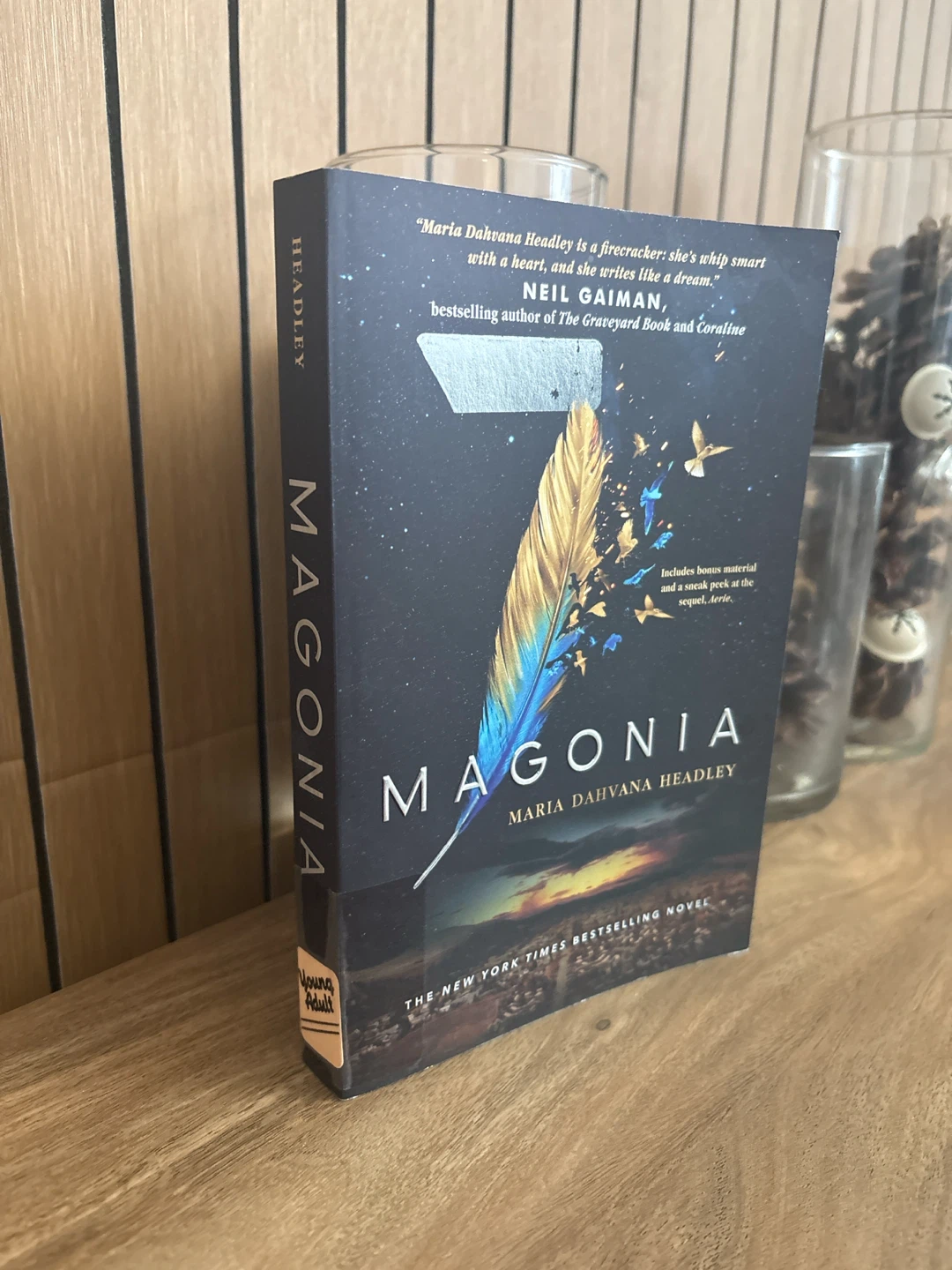 Magonia by Maria Dahvana Headley YA Fantasy Novel