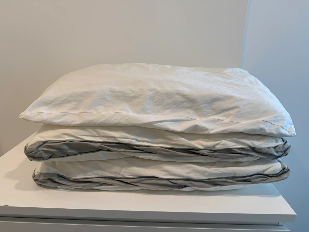 Beautyrest Platinum Pillows - photo 2