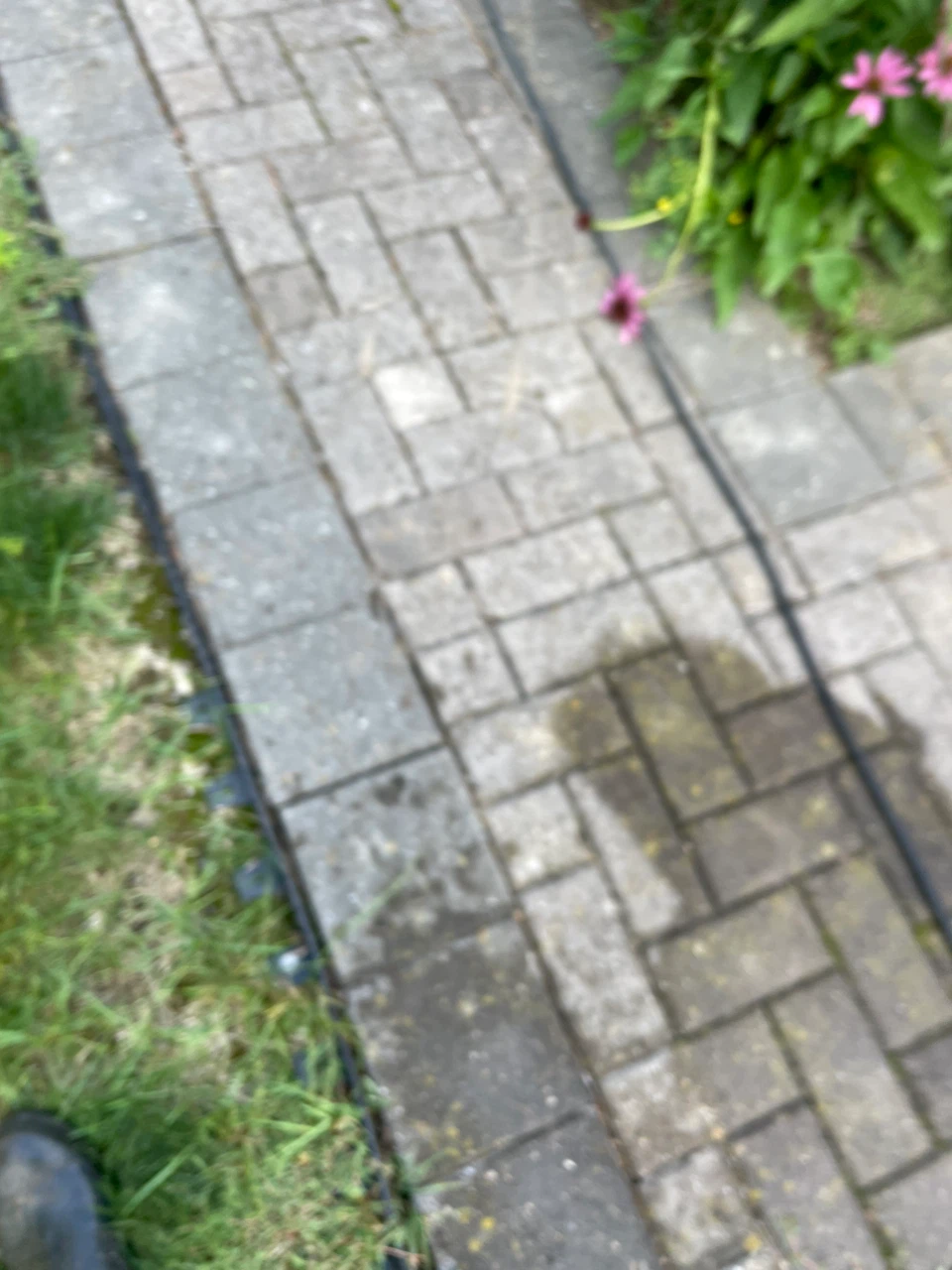 concrete cleaning and pressure washing - photo 2