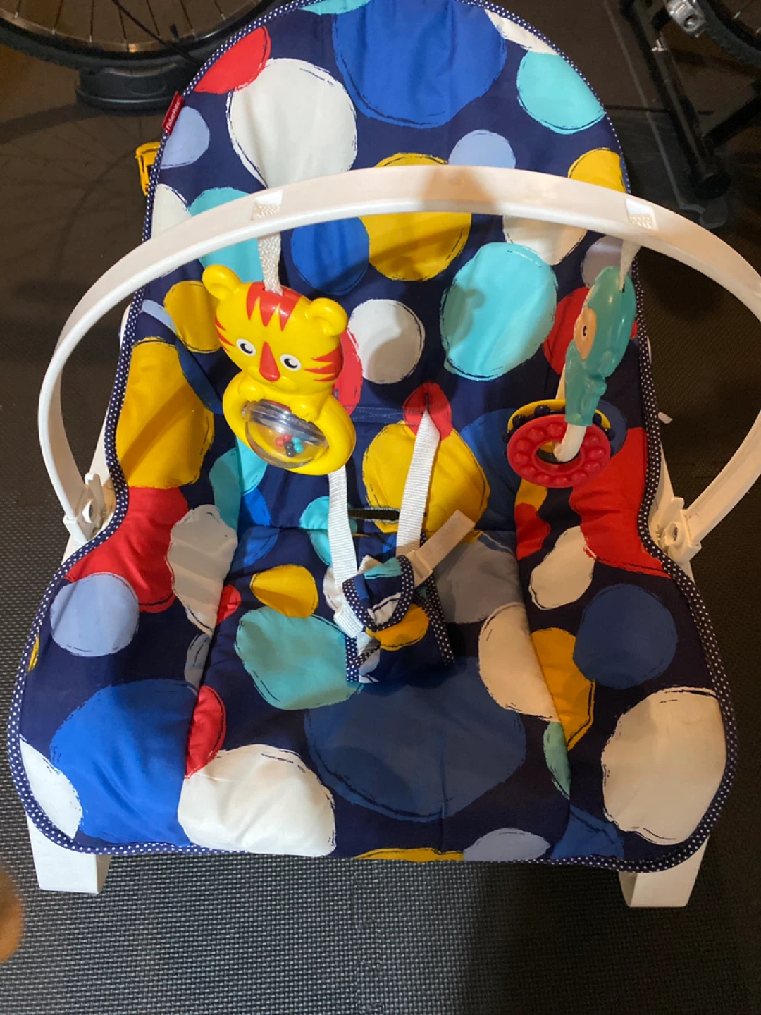 Fisher-Price Baby Bouncer