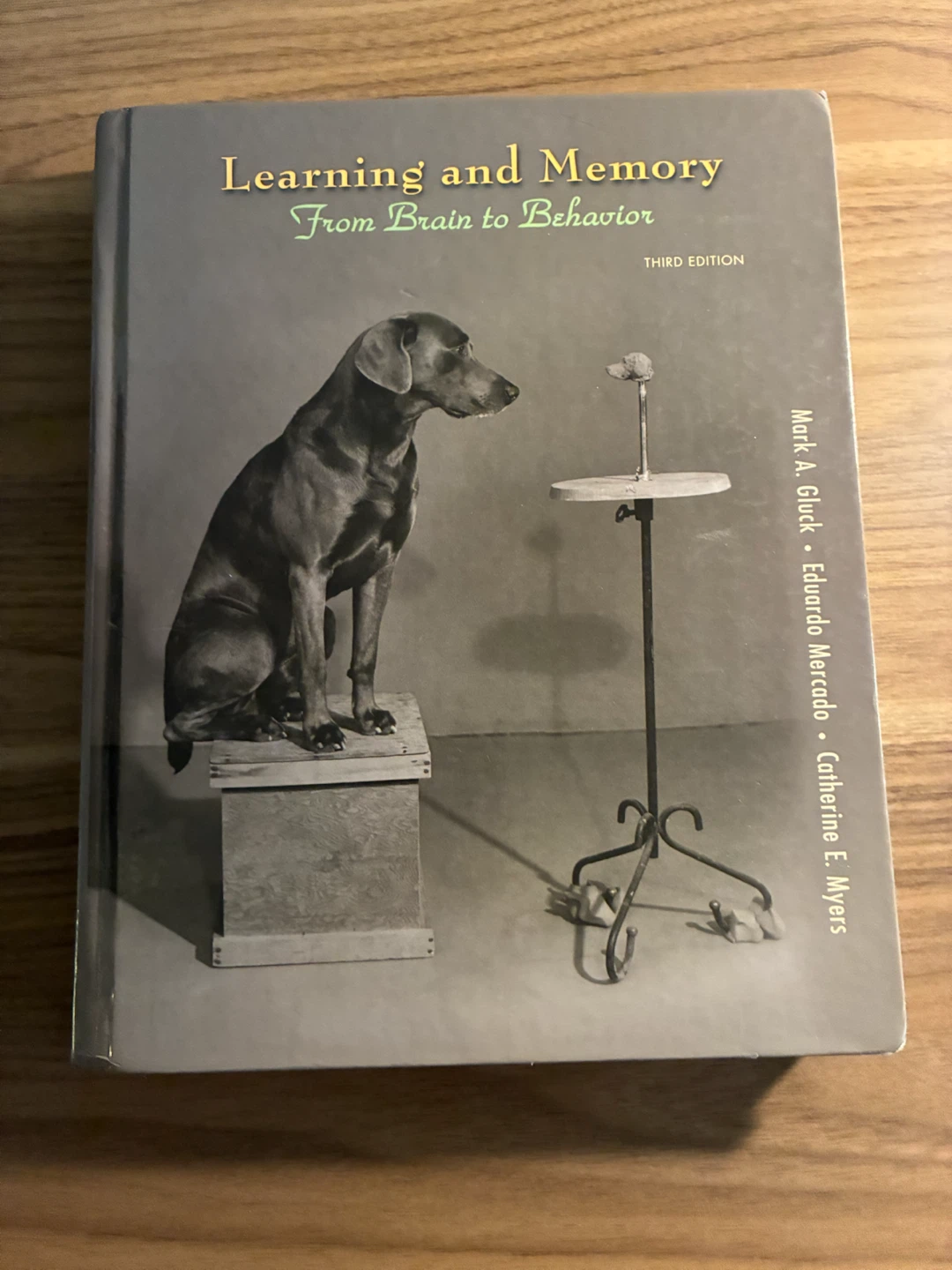 Learning and Memory from Brain to Behavior 3rd Edition