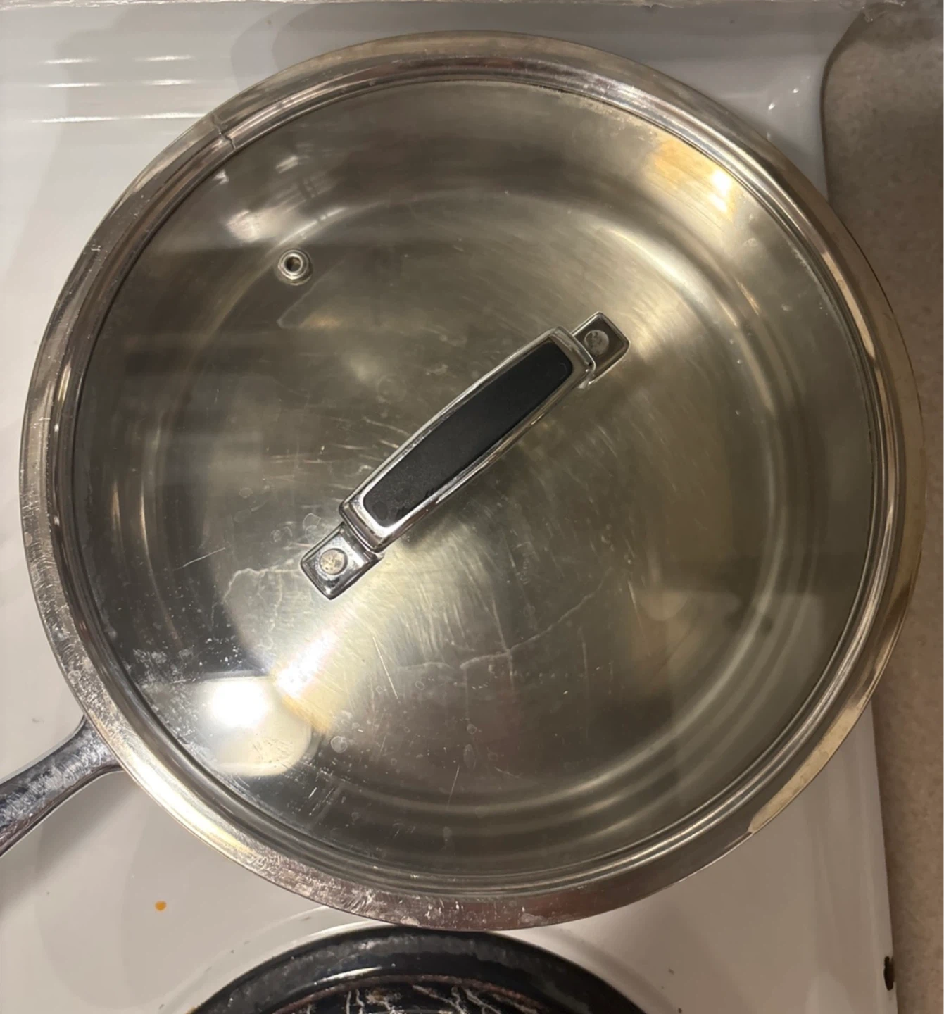 Pure Stainless Steel Pot with Lid