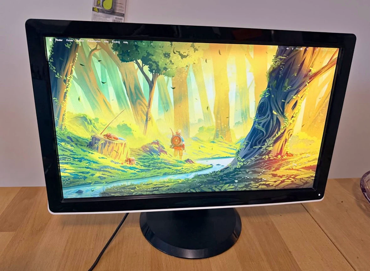 HDMI Dell 21.5" Computer Monitor