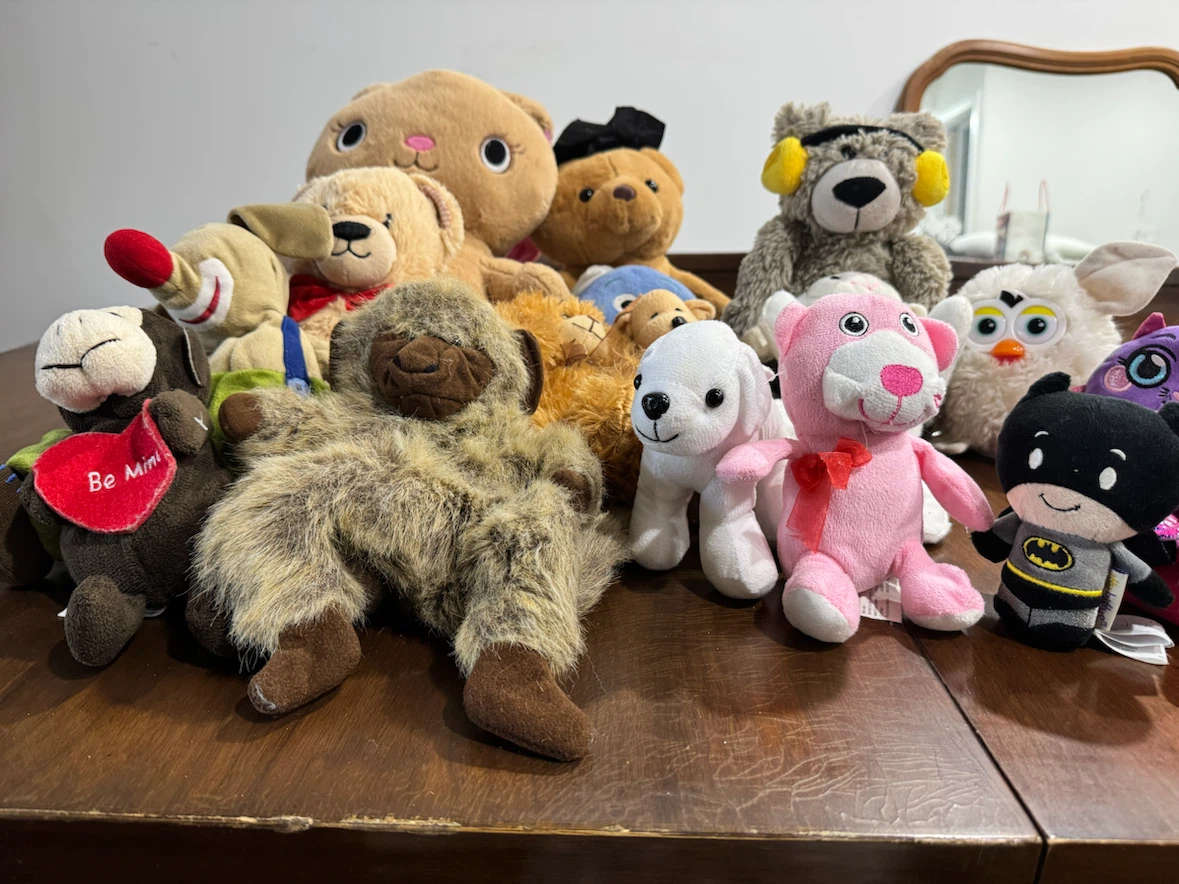 Assorted Plush Toys - Teddy Bears, Batman, and More!